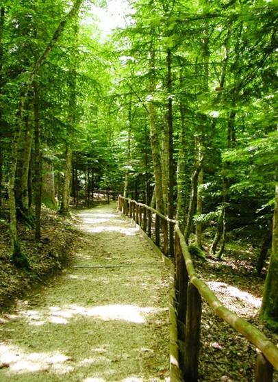 B & B Il Tratturo San Pietro Avellana ภายนอก รูปภาพ